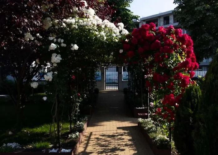 Anca בית הארחה